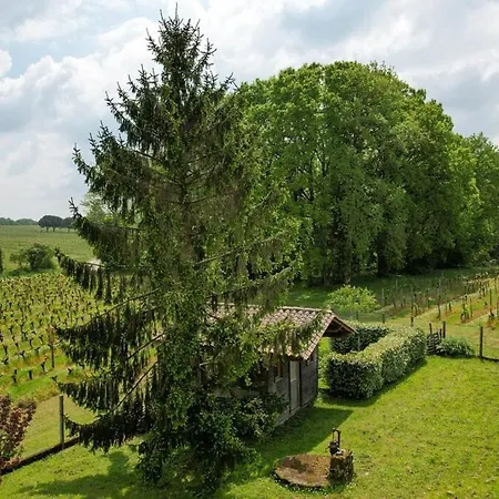Maison Au Coeur Des Vignes * ピュイスガン